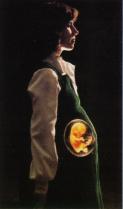 Беременная и ребенок в утробе